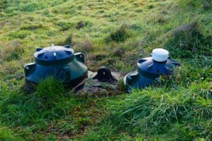 Septic